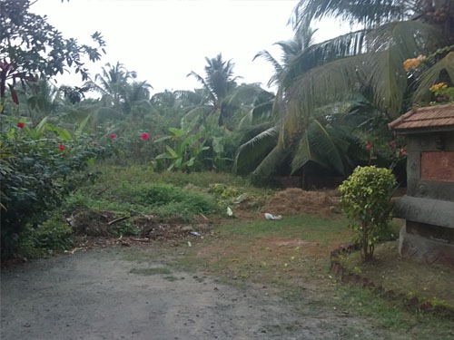 House Plot Residential  plot  for sale in calicut , Thodayad by pass junction 